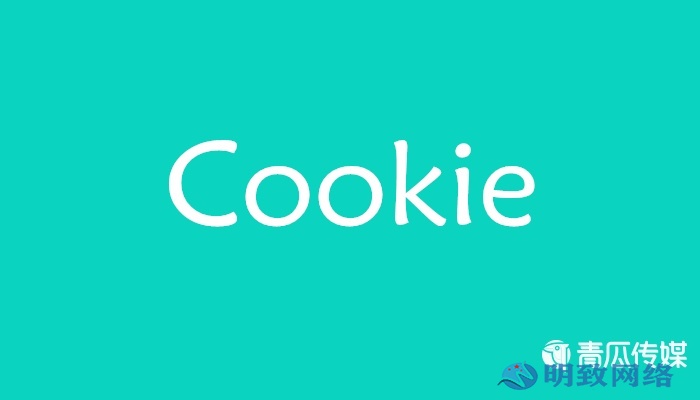 Cookie是什么意思？