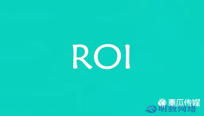 ROI是什么意思？